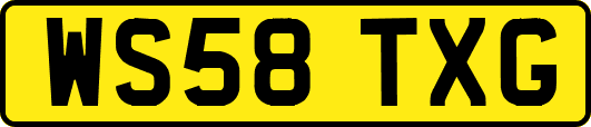 WS58TXG