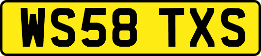 WS58TXS