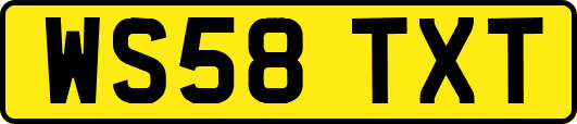 WS58TXT