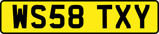 WS58TXY