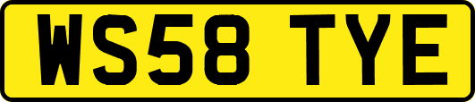 WS58TYE