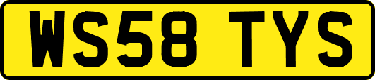 WS58TYS