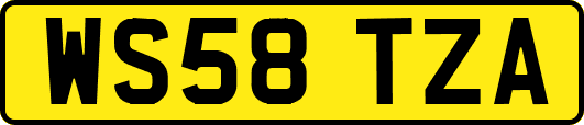 WS58TZA