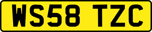 WS58TZC