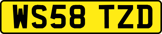 WS58TZD
