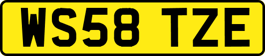 WS58TZE