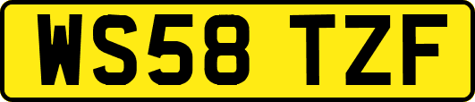 WS58TZF