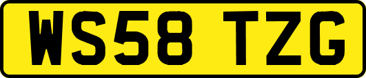 WS58TZG