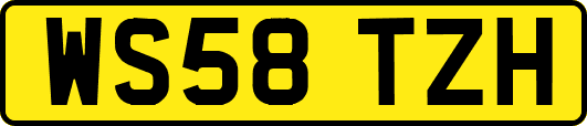 WS58TZH