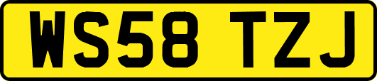 WS58TZJ