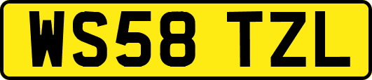 WS58TZL