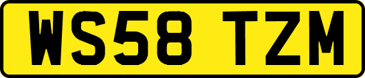 WS58TZM