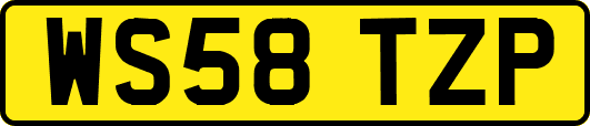 WS58TZP