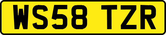 WS58TZR