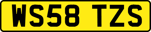 WS58TZS