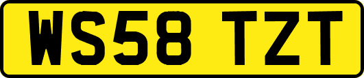 WS58TZT