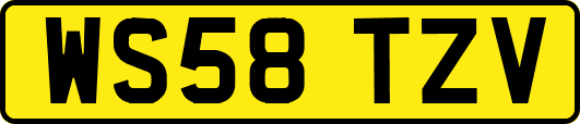 WS58TZV