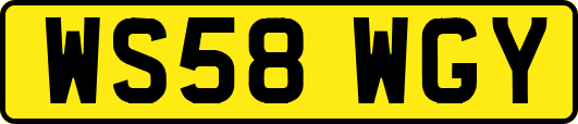 WS58WGY