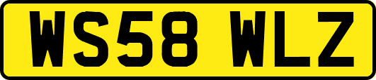 WS58WLZ