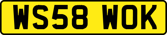 WS58WOK