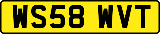 WS58WVT