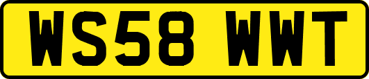 WS58WWT