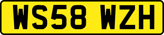 WS58WZH