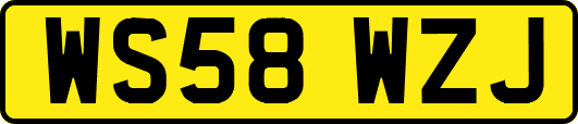 WS58WZJ