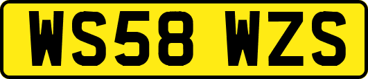 WS58WZS