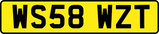 WS58WZT