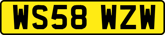 WS58WZW