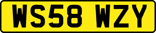 WS58WZY