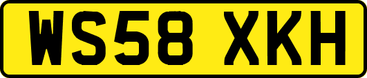 WS58XKH