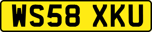 WS58XKU