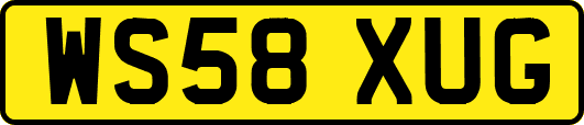 WS58XUG
