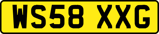 WS58XXG