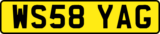 WS58YAG