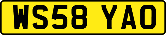 WS58YAO