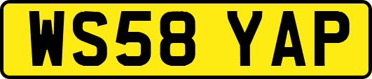 WS58YAP
