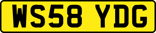 WS58YDG