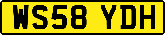 WS58YDH