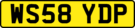 WS58YDP