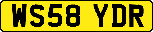 WS58YDR