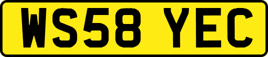 WS58YEC