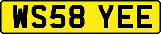 WS58YEE