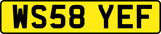 WS58YEF