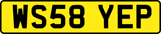 WS58YEP