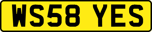 WS58YES