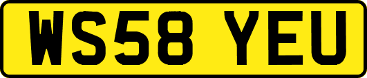 WS58YEU