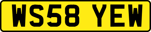 WS58YEW